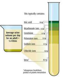 kadar dan warna urine