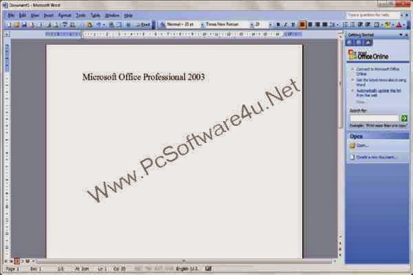 ms office 2003 professional