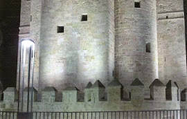 Torre de la Calahorra, de noche