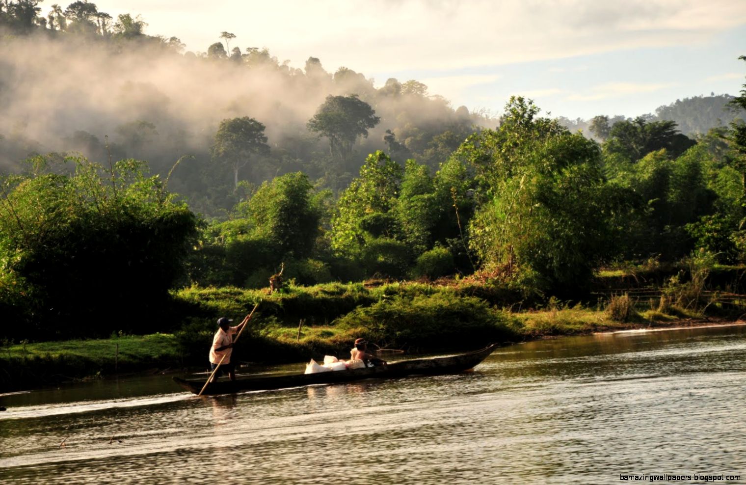 WCS Madagascar Protecting the Rainforest Haas in the World WCS Madagascar Protecting the Rainforest Haas in the World