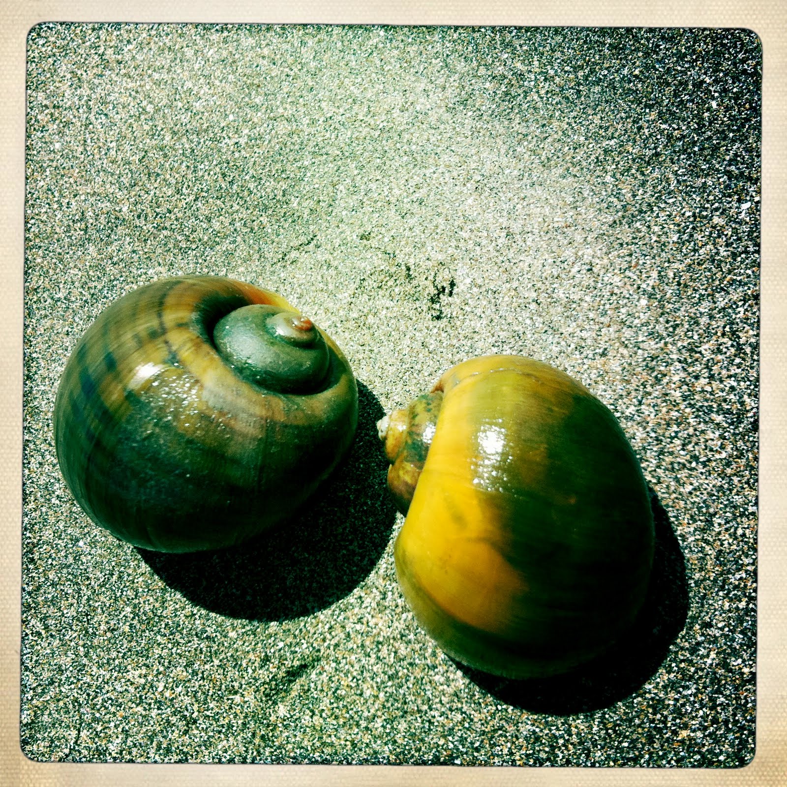 Papa Nui Says..... Bali revisited 2011