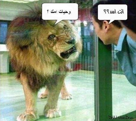 كوميكس مضحك،كومنتات مضحكه،صور مضحكه كوميكس مضحك،كومنتات مضحكه،صور مضحكه