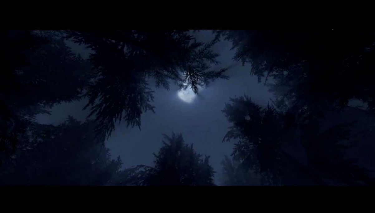 Crysis Night time Forest map with music from Apricot YouTube Crysis Night time Forest map with music from Apricot YouTube