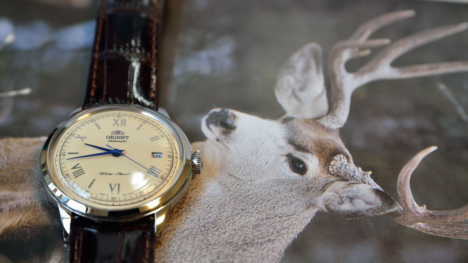 幸せの黄色いホーン資料室 orient bambino ser2400cn0