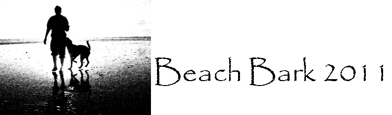 Beach Bark Lincoln City