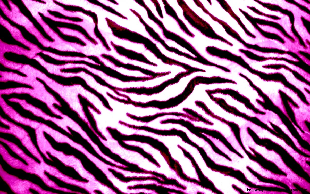 Pretty Zebra Print Wallpapers Pretty Zebra Print Wallpapers
