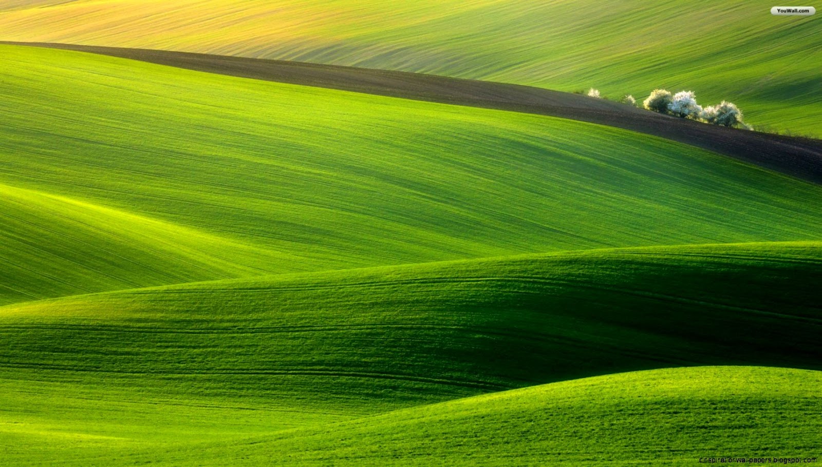 Green Nature Landscape Green Nature Landscape