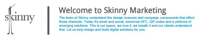 Skinny Marketing
