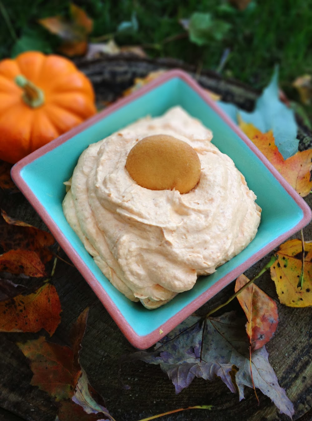 The Mighty Mrs. Whipped Pumpkin Dip Recipe