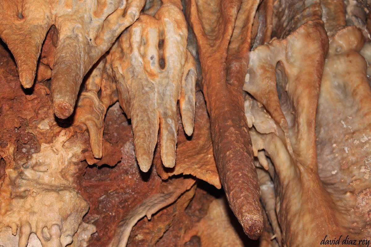manololopez66: cueva del refugio