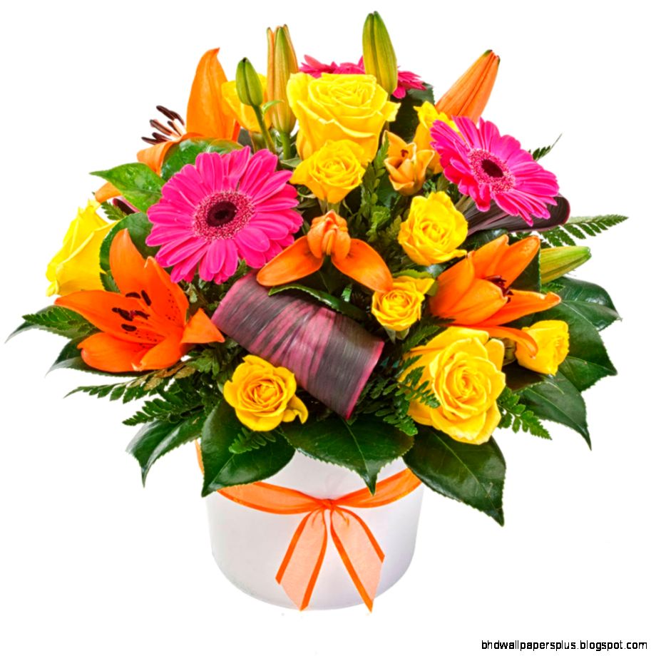 Hospital Florist Get well soon flowers Hospital Flowers New Hospital Florist Get well soon flowers Hospital Flowers New