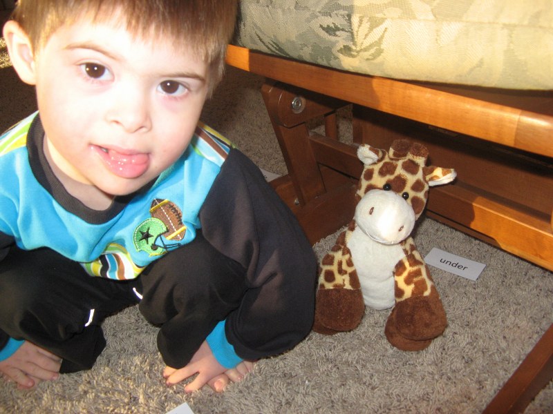 4 GUYS & A LADY: Just Where Is That Giraffe?