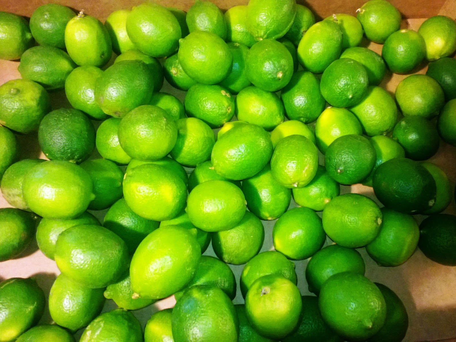 Saltbush Flats Way Too Many Lemons and Limes... Is There Such a Thing?