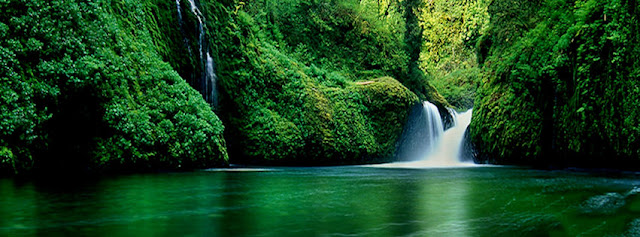 paradise-falls-fb-timeline-cove...