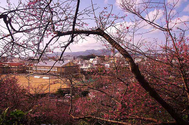 warlords of japan background essay 8 warlords of japan background essay 8