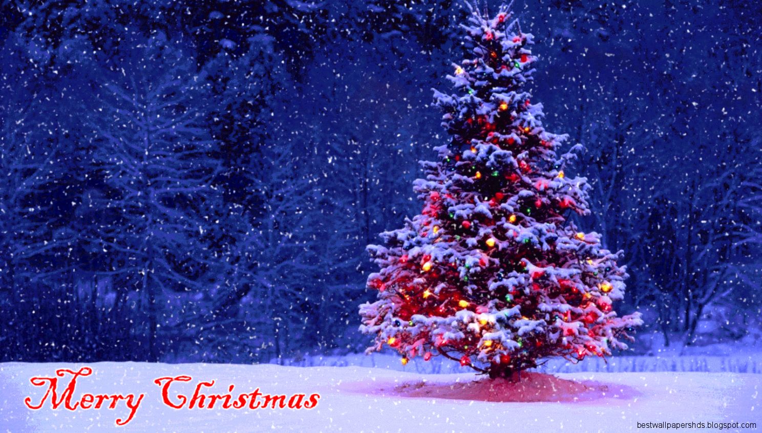 Saberpoint Merry Christmas 2013 Christmas Tree in Snowy Woods Saberpoint Merry Christmas 2013 Christmas Tree in Snowy Woods