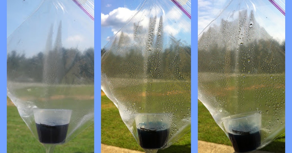 For the Love of Teaching: Science: Water Cycle