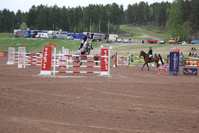 Dalahoppet 2013 i hamn