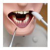 Dental Training