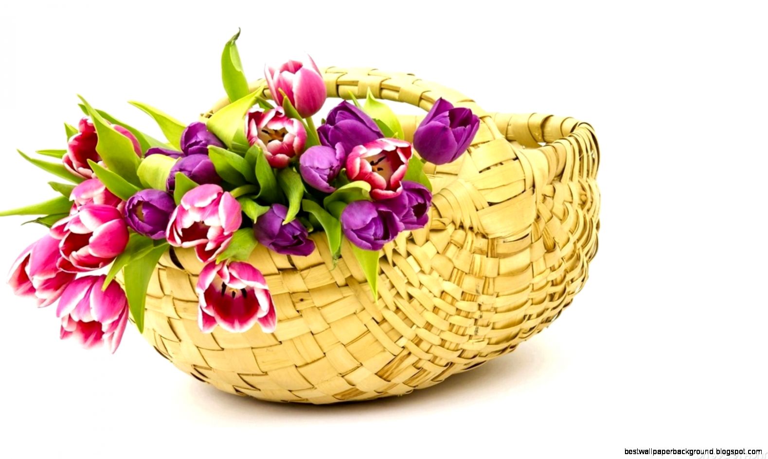 Flowers Basket Wallpapers HD Pictures One HD Wallpaper Pictures Flowers Basket Wallpapers HD Pictures One HD Wallpaper Pictures