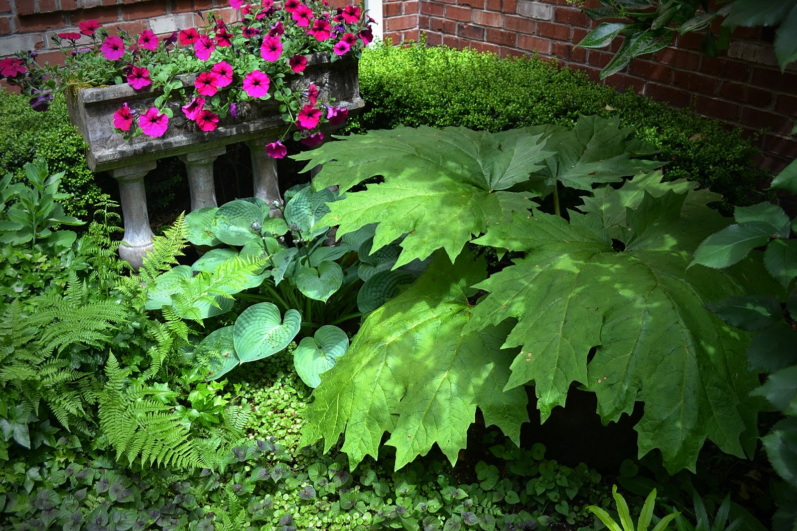 Cap Jp Au Lycee Le Blog La Reco