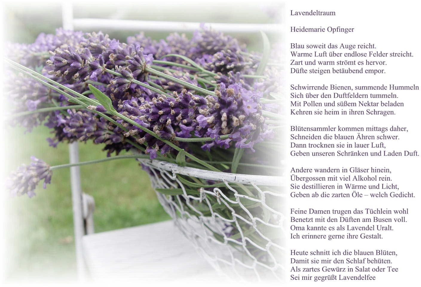 Stineszuhause Lavendel Und Eine Herzenssache