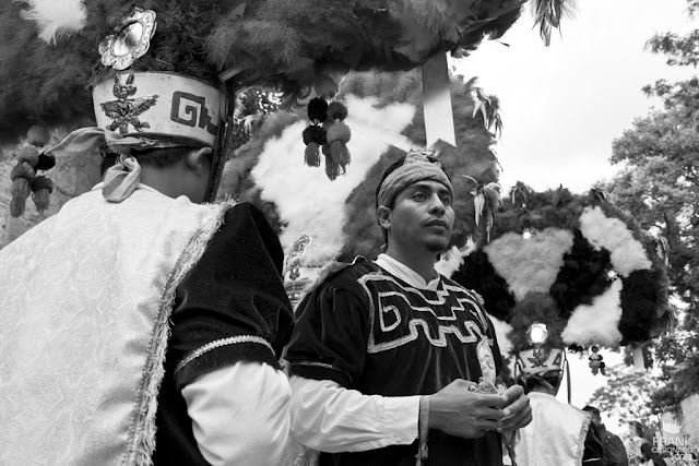 danzantes de la pluma