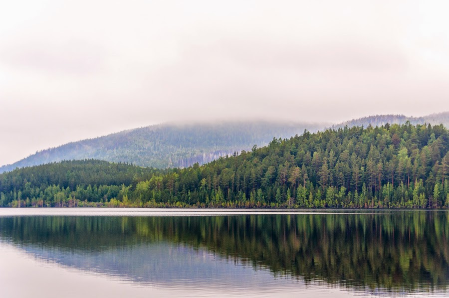 Туда, где намазано медом