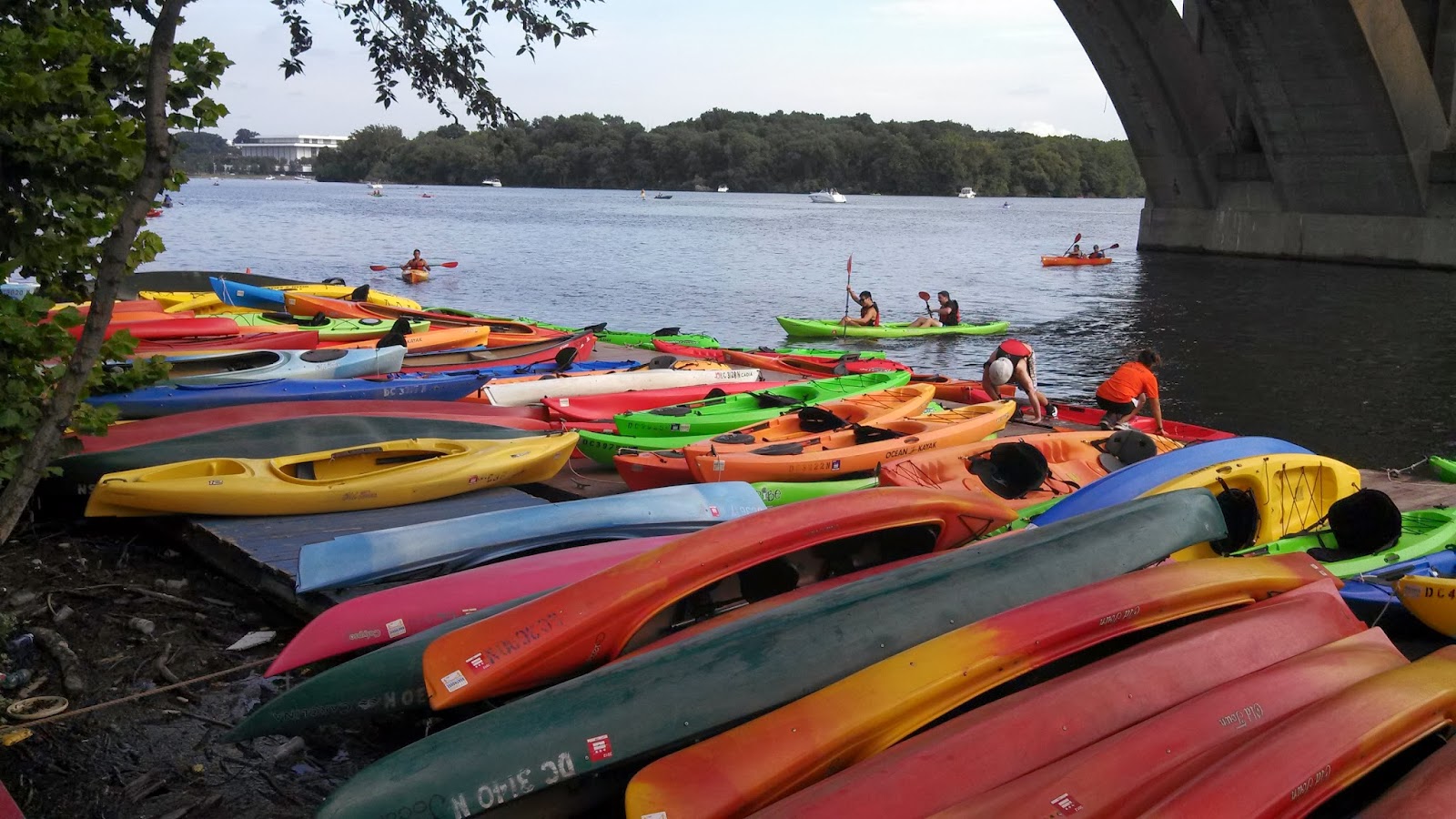 Washington Academic Internship Program Kayaking on the Potomac