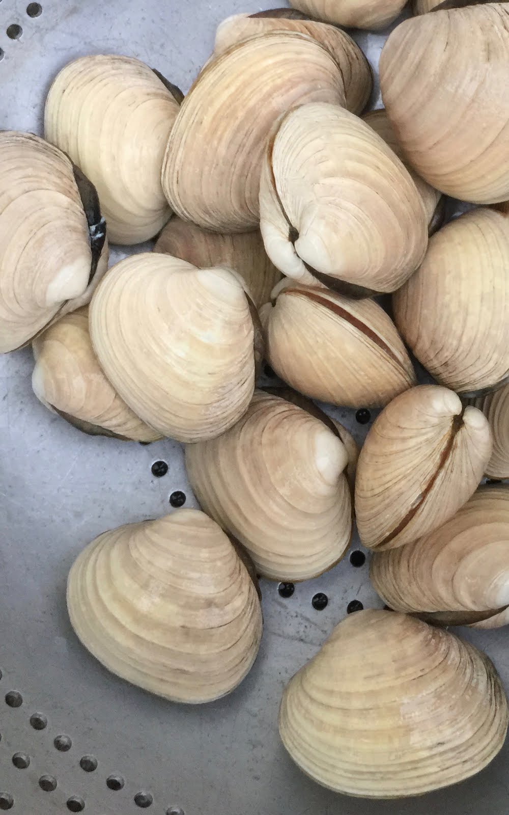 SITKAVORES CLAMS