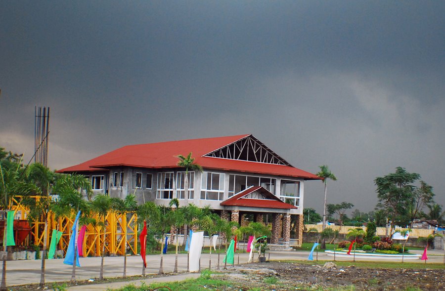 House for Sale Philippines Realty ATHENA RESIDENCES ALONG MERCEDES