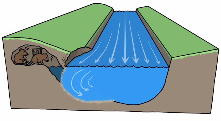 何故川はくねくね曲がっているのか