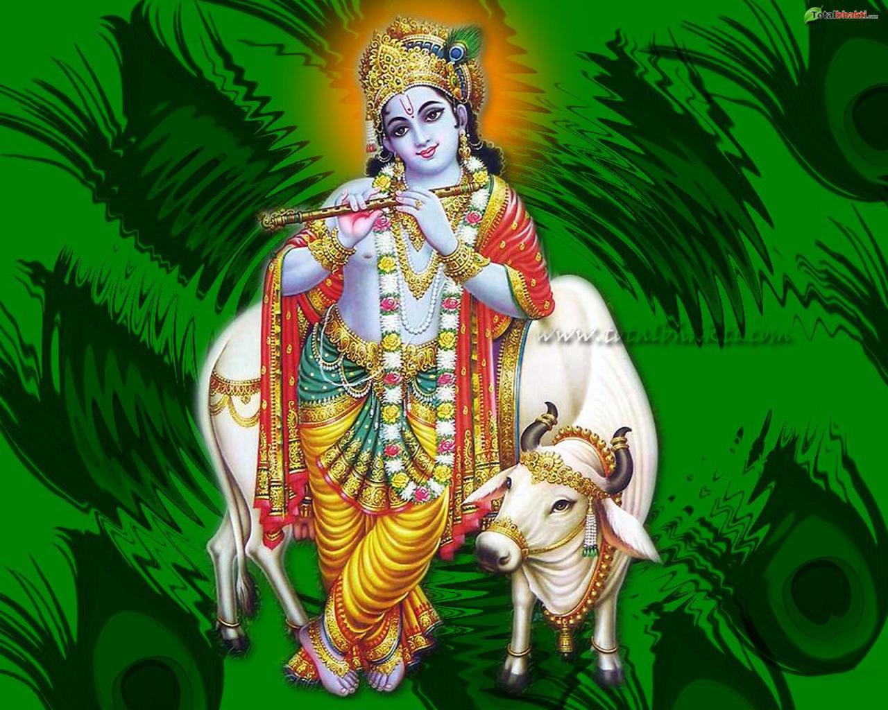 Govardhan Wallpaper Wallpaper Govardhan Wallpaper Wallpaper