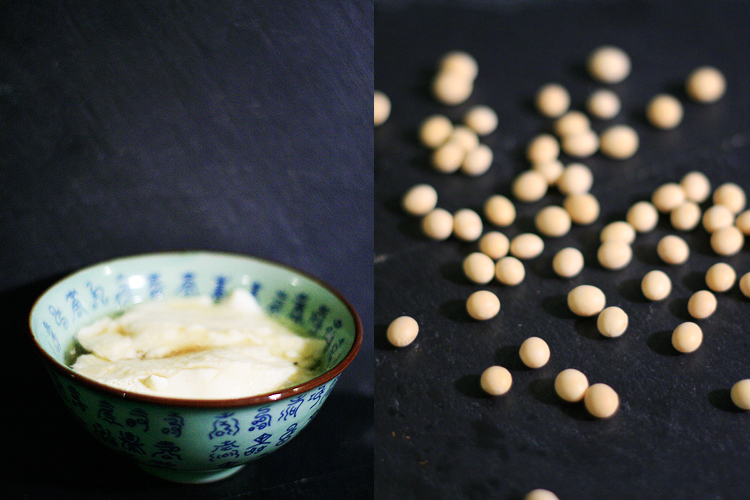 From Soy Bean to Tofu The Hungry Pup