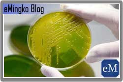 Manfaat dan Bahaya Bakteri E. Coli Manfaat dan Bahaya Bakteri E. Coli