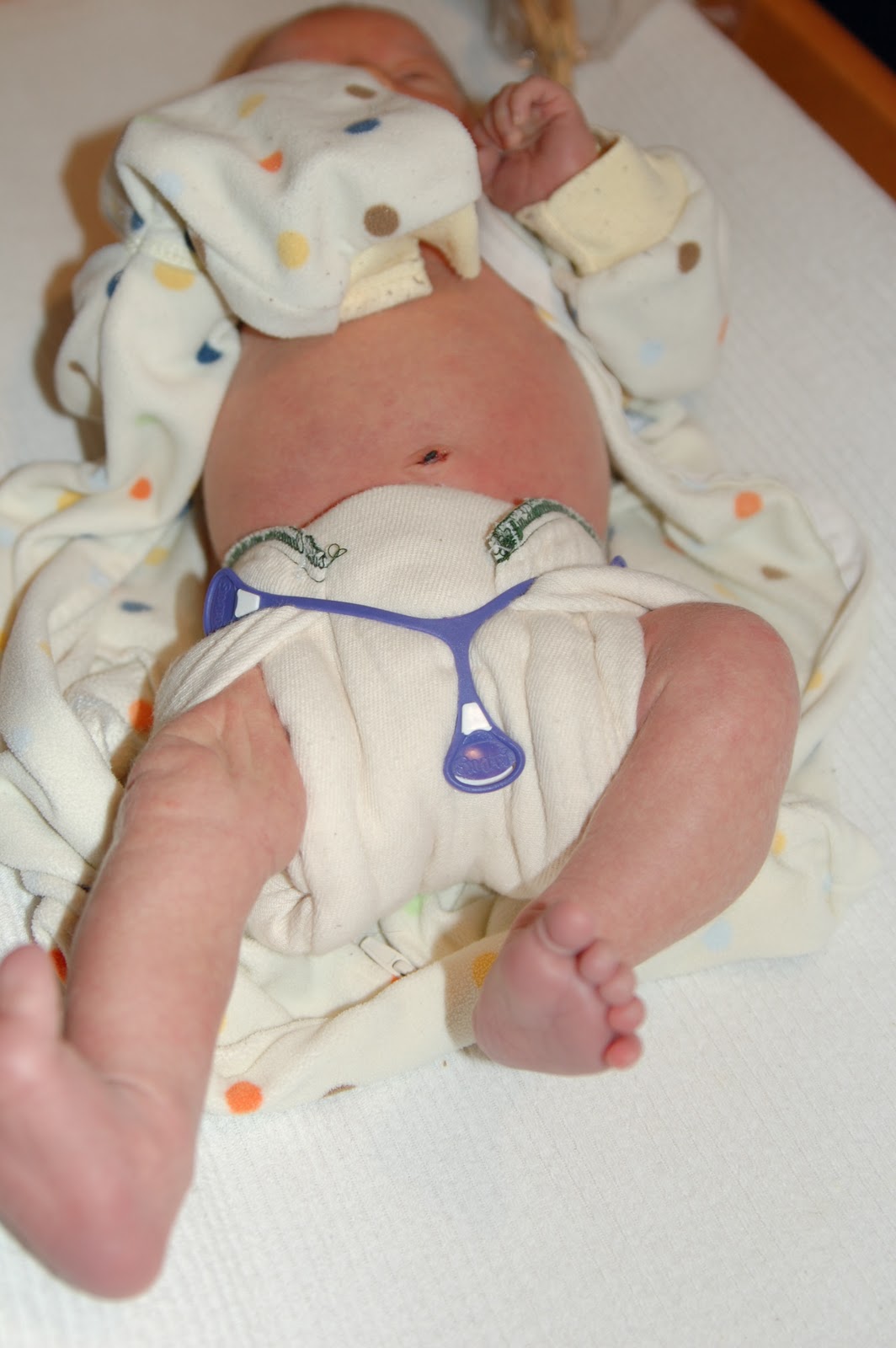 Nicki's Diapers Cloth Diapering From Day 1 Using Prefolds on a Newborn
