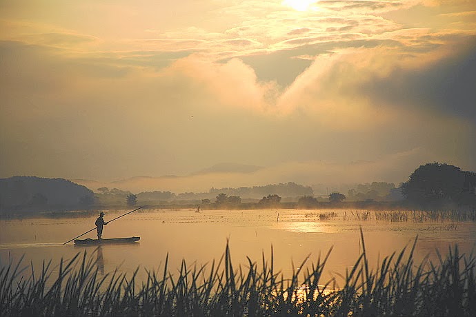 UPO WETLAND     牛浦늪