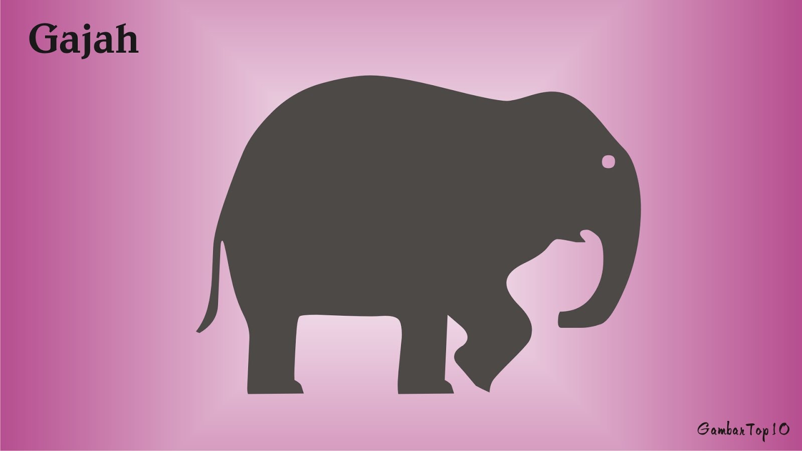 10 Gambar Ilustrasi Binatang Lucu Untuk Anak HD | Gambar