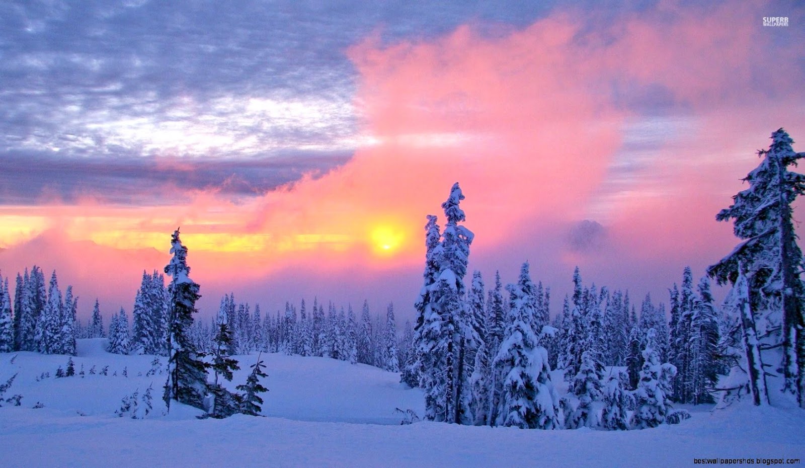 Cold Winter Morning Cold Winter Morning