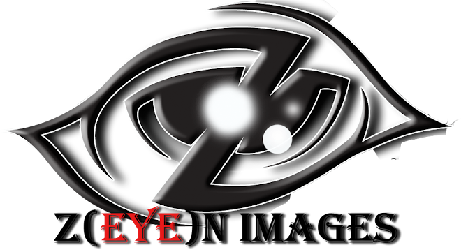 Z(eye)N Images 
