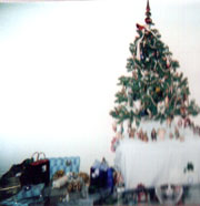 Christmas tree yard