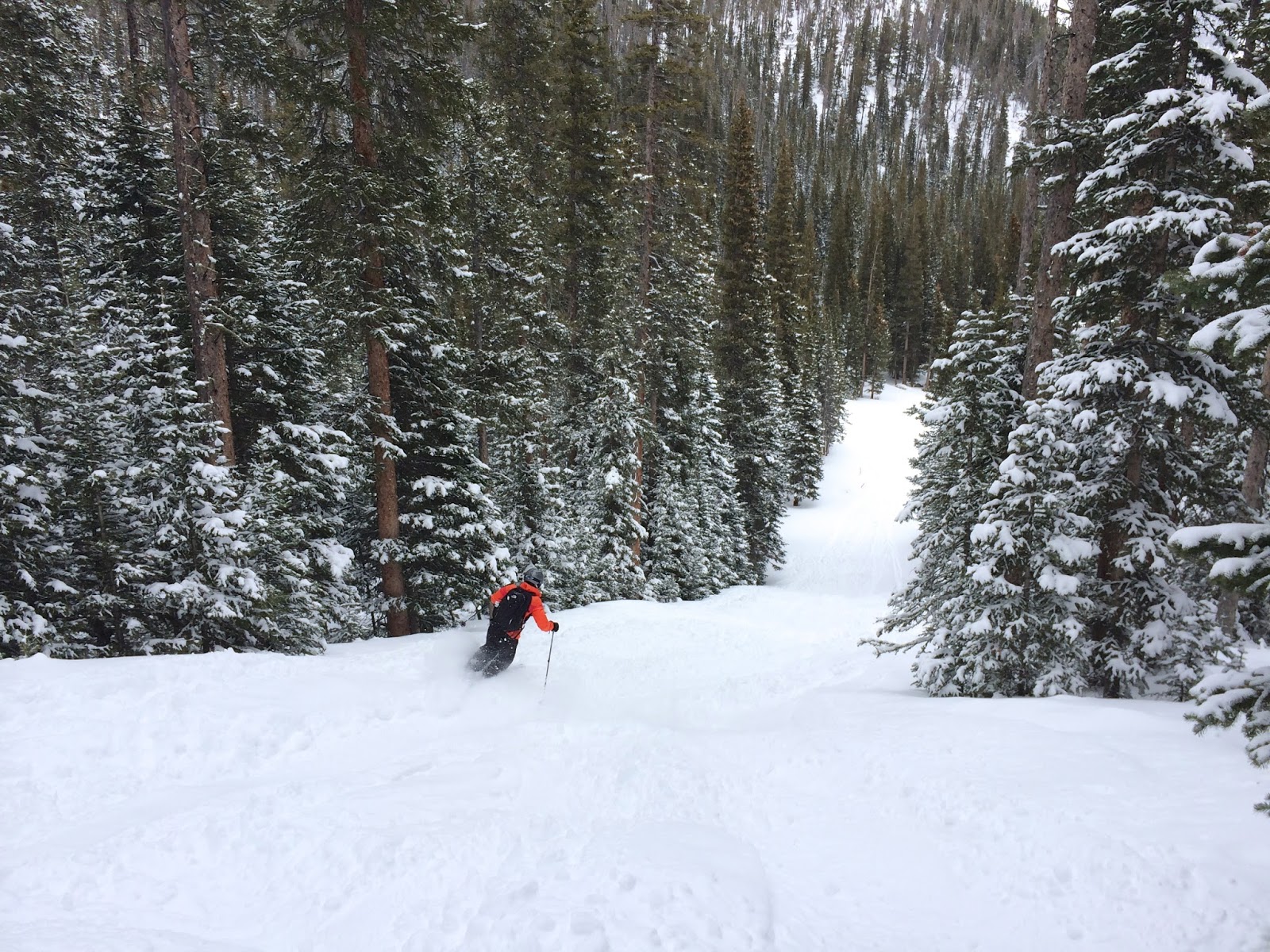 Colorado Adventures Hidden Valley Backcountry Skiing in Estes Park