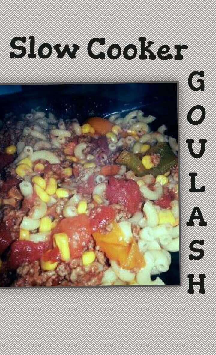 The Chintzy Lady Crock Pot Goulash