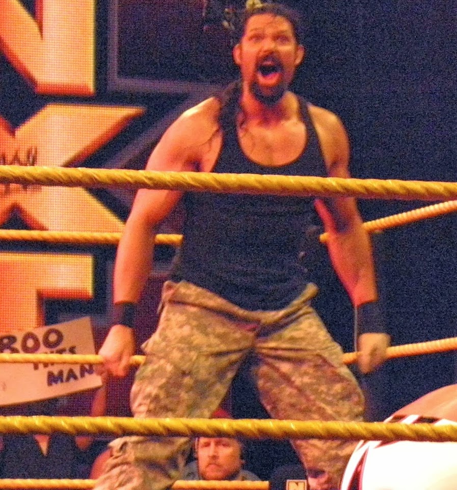 WWE NXT The Future of the Professional Wrestling Industry The Rise