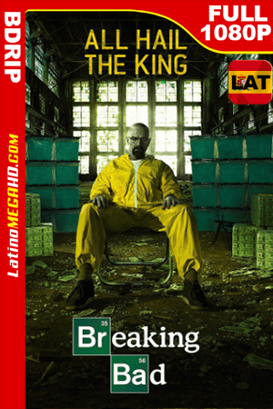 Breaking Bad Temporada 5 (2012) Latino Full HD BDRIP 1080P (2012)
