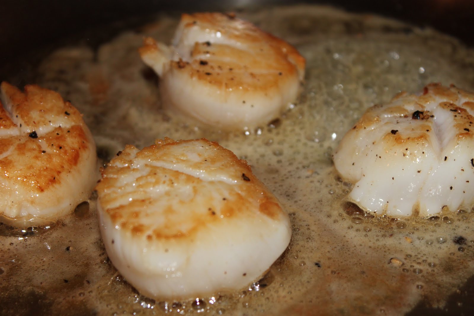 Piccante Dolce Seared Scallops with Bacon Braised Chard