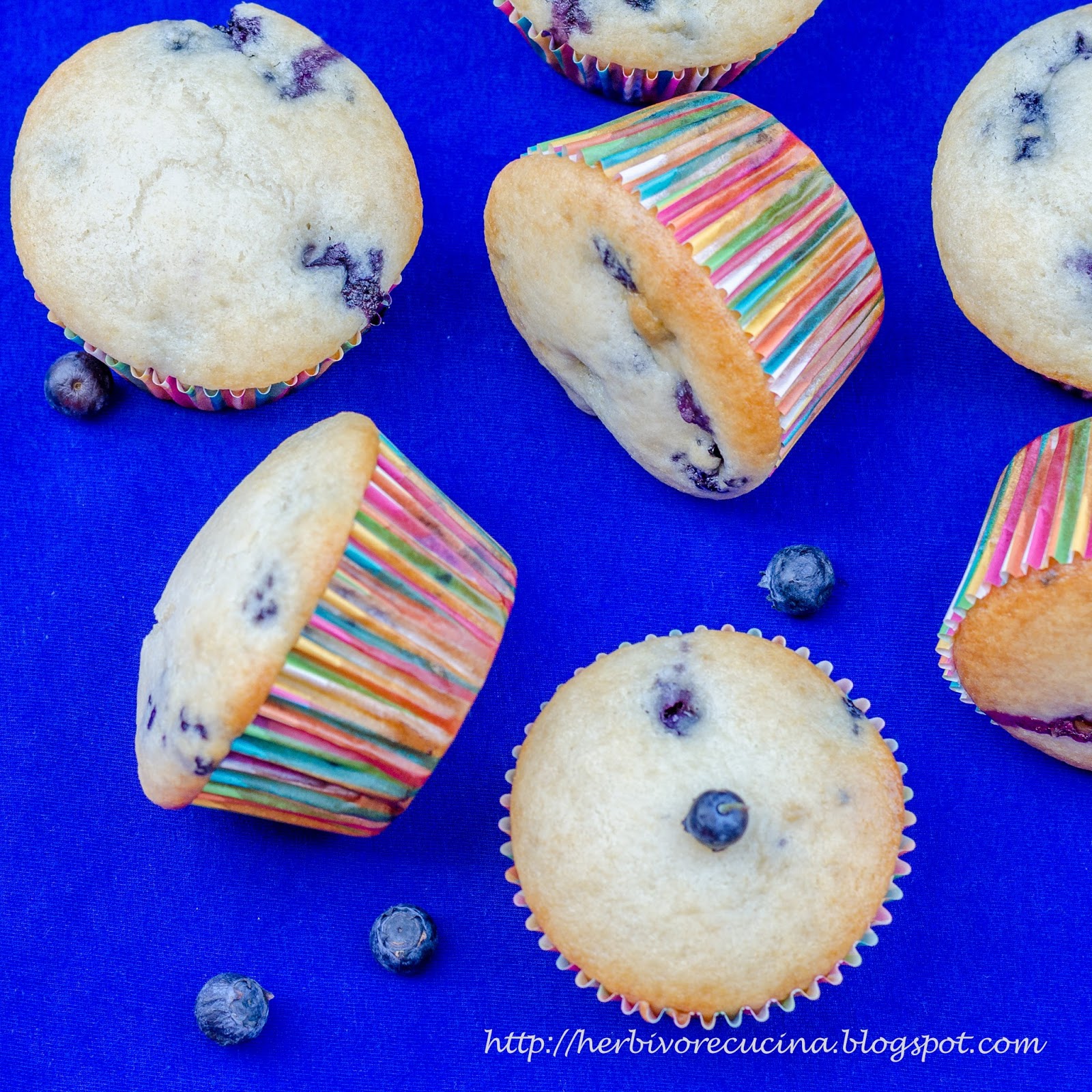 Herbivore Cucina Eggless Blueberry Yogurt Muffins