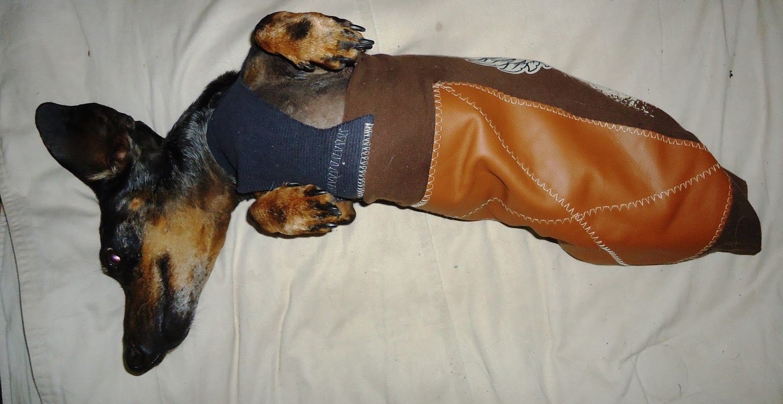 Recycled Miracles Paralyzed Wiener Dog Drag Bag Stylish