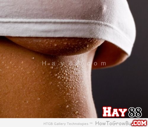 Ảnh bikini girl, girl sexy, girl ngực khủng, khoe vú