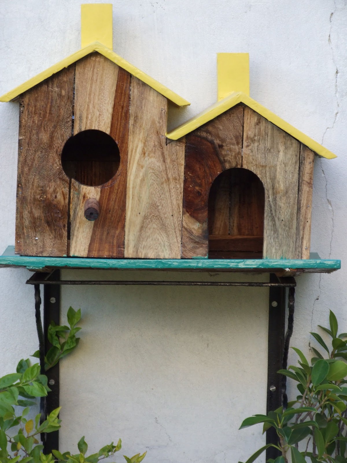 birds houses birds houses